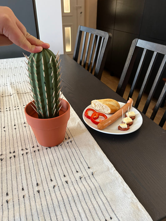 Fogpiszkáló kaktusz IMG_6535 Moduvox