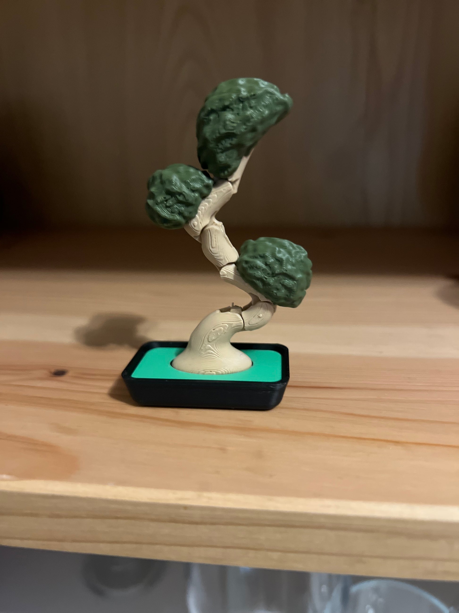 Mini Bonsai BBFDA7FB-FB71-48C6-A393-74B7EF1AF590 Moduvox