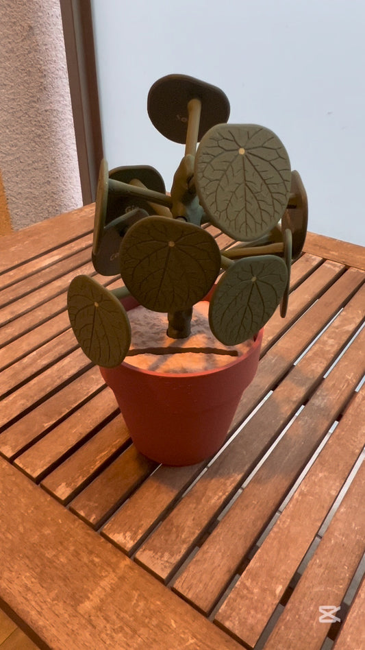 Választónövény C5BCB133-7BD2-497B-A648-88364D1AC4A2 Moduvox