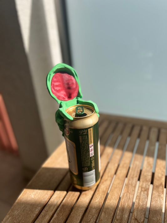 Breki IMG_6468 Moduvox